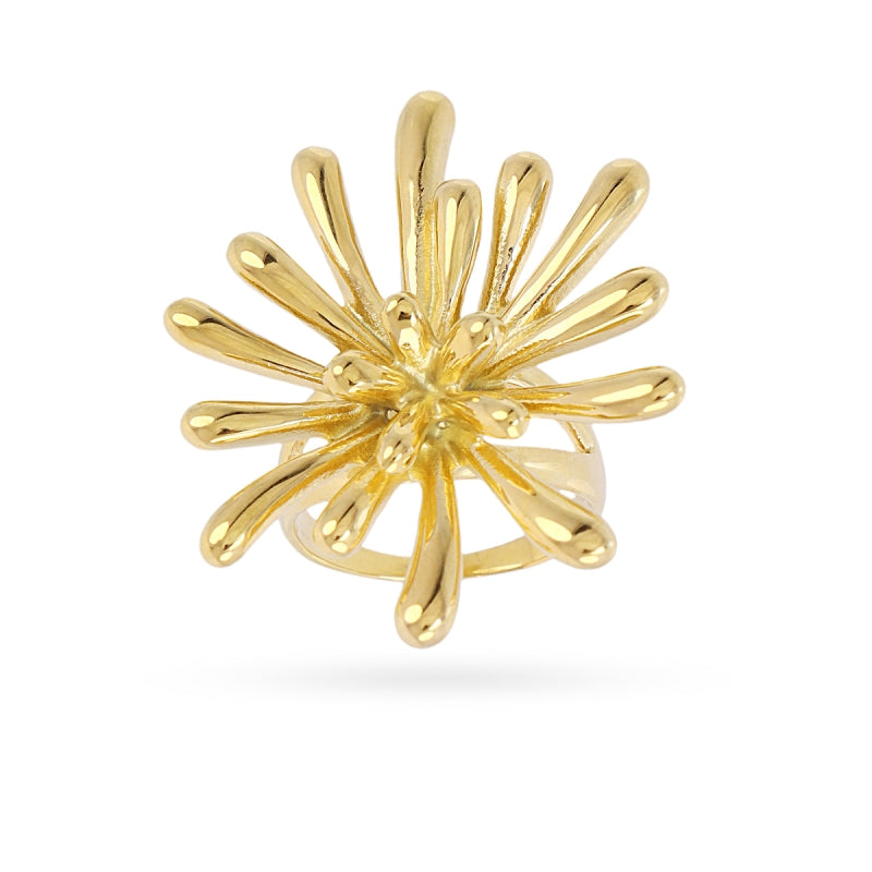 Anillo Essentials Aria